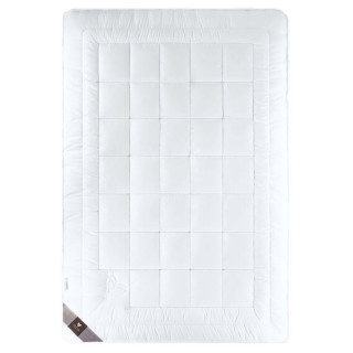 Одеяло зимнее ТМ Идея синтепоновое Air Dream Premium