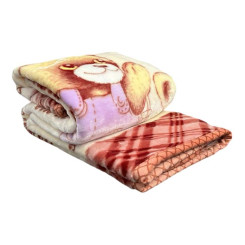 Плед дитячий мікрофібра подвійний ТМ Koloco Bears 100*110