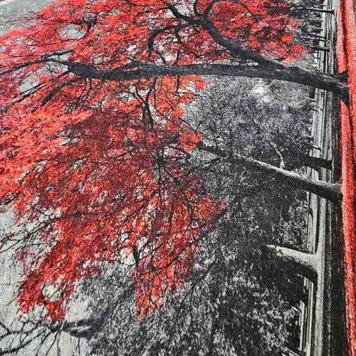 Набор ковриков TM Le Jardin 3D Berceste