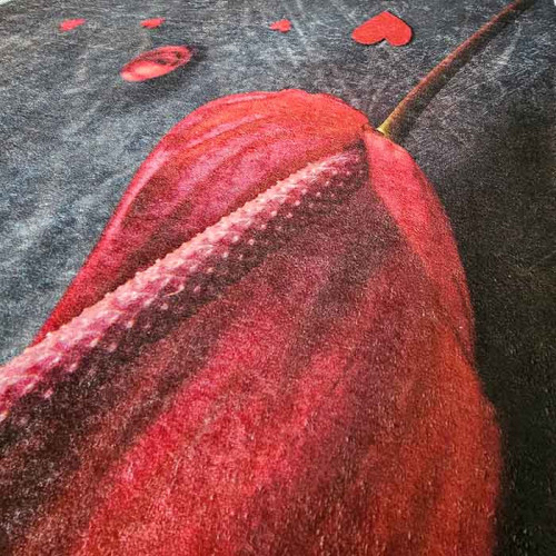 Набор ковриков TM Le Jardin 3D Borneo