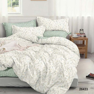 Постельное белье ТМ Вилюта ранфорс 26433