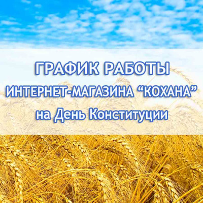 График работы kohana.in.ua на День Конституции 2016